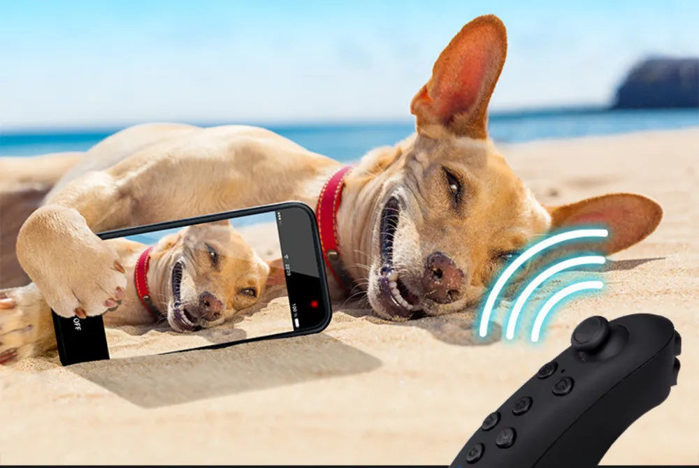 Virtual Reality 3D VR Glasses Smartphone Cell Mobile